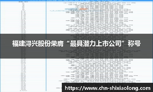 福建浔兴股份荣膺“最具潜力上市公司”称号