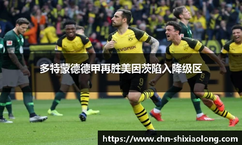 YY体育