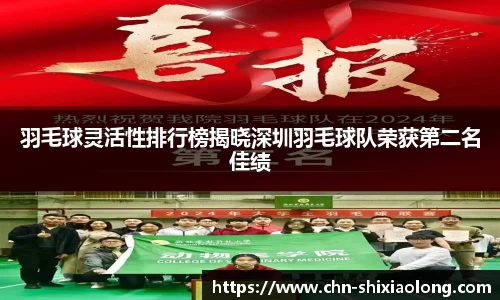 羽毛球灵活性排行榜揭晓深圳羽毛球队荣获第二名佳绩