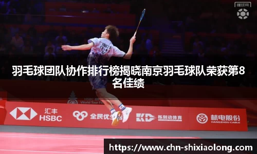 羽毛球团队协作排行榜揭晓南京羽毛球队荣获第8名佳绩