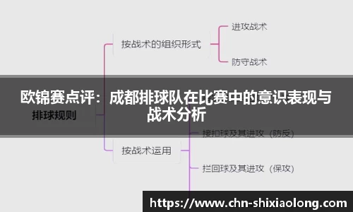欧锦赛点评：成都排球队在比赛中的意识表现与战术分析