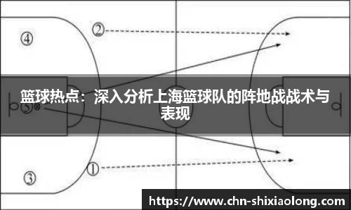 YY体育