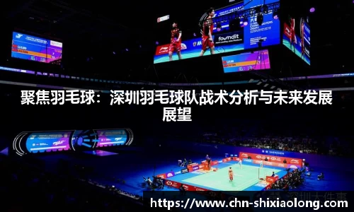 聚焦羽毛球：深圳羽毛球队战术分析与未来发展展望
