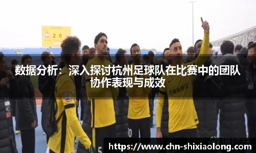 数据分析：深入探讨杭州足球队在比赛中的团队协作表现与成效