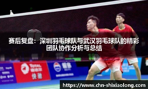 赛后复盘：深圳羽毛球队与武汉羽毛球队的精彩团队协作分析与总结