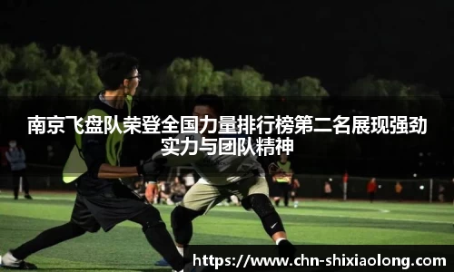 南京飞盘队荣登全国力量排行榜第二名展现强劲实力与团队精神