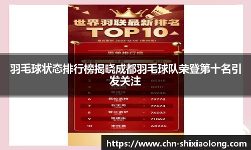 羽毛球状态排行榜揭晓成都羽毛球队荣登第十名引发关注