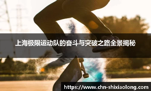 YY体育