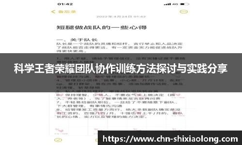 科学王者荣耀团队协作训练方法探讨与实践分享