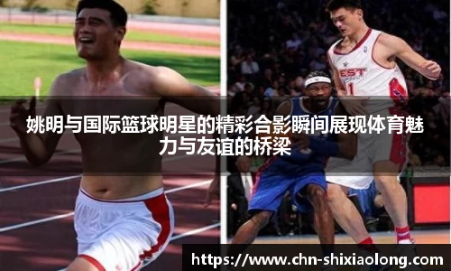 米乐M6官网