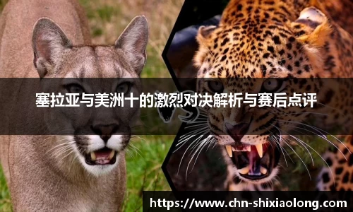 塞拉亚与美洲十的激烈对决解析与赛后点评