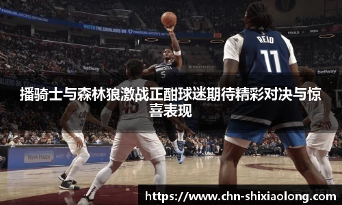 播骑士与森林狼激战正酣球迷期待精彩对决与惊喜表现