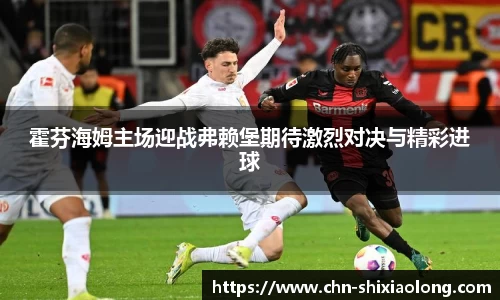 霍芬海姆主场迎战弗赖堡期待激烈对决与精彩进球
