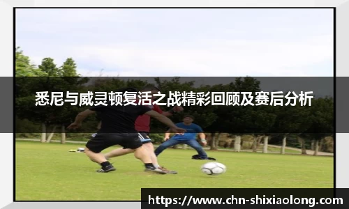 米乐M6官网