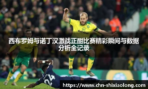 西布罗姆与诺丁汉激战正酣比赛精彩瞬间与数据分析全记录