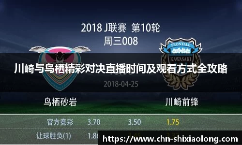 YY易游体育