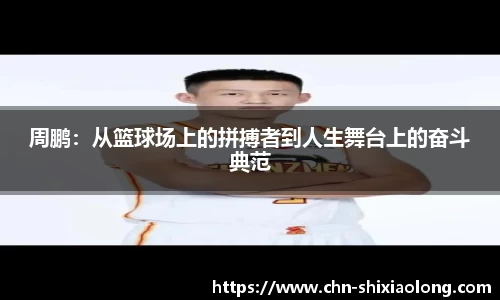 米乐M6官网