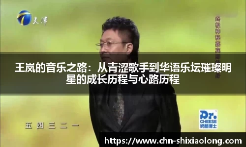 王岚的音乐之路：从青涩歌手到华语乐坛璀璨明星的成长历程与心路历程