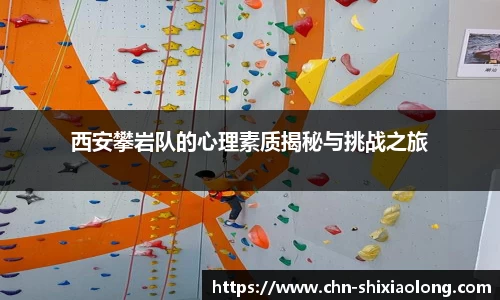 米乐M6官网