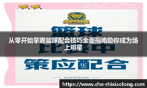 从零开始掌握篮球配合技巧全面指南助你成为场上明星