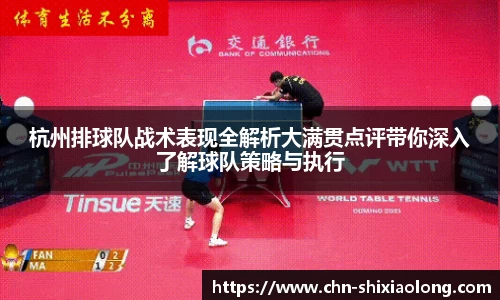 杭州排球队战术表现全解析大满贯点评带你深入了解球队策略与执行