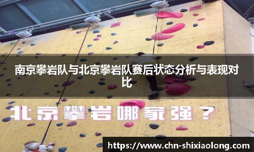 YY易游体育